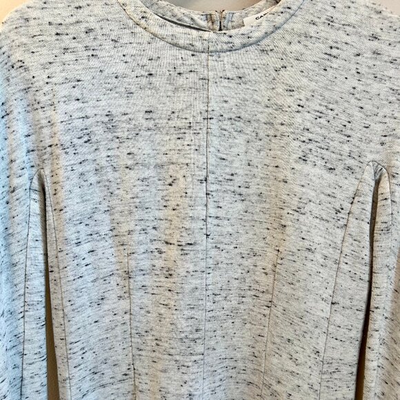 Carven Long Sleeve Sweatshirt Dress Ruffle Hem Gray Back Zip Womens Size Large - Picture 9 of 15